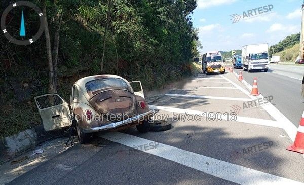 Acidenet fusca são roque