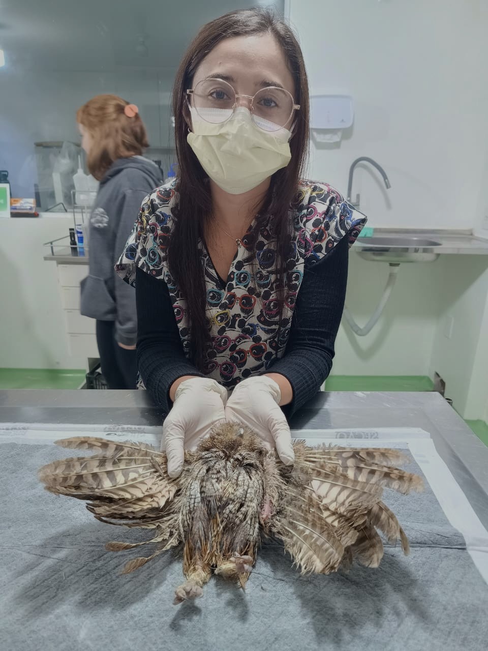 Corujinha salva mata ciliar jundiai 1