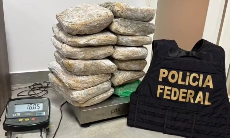 Drogas no aeroporto campinas