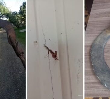 Foice violencia domestica capivari