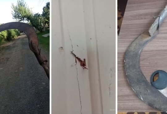 Foice violencia domestica capivari