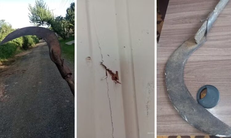 Foice violencia domestica capivari