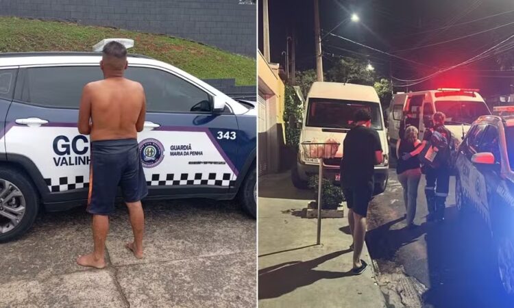 Gcm de valinhos violência doméstica