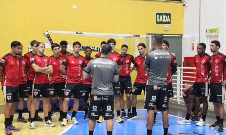 Giovana randi primavera