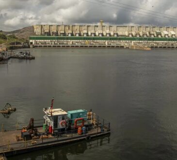 Joedson alves bandira amarela