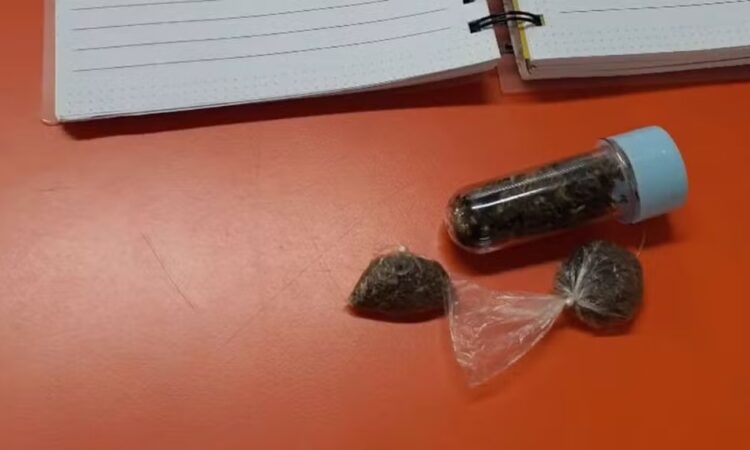 Maconha em mochila de crinaça em creche americana