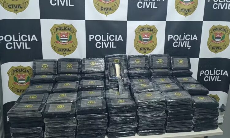 Policia civil campinas cocaina