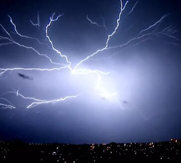 Raios eptv campinas reproduÇÂo