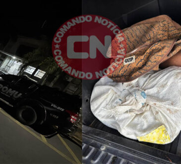 Romu elias fausto furto fios