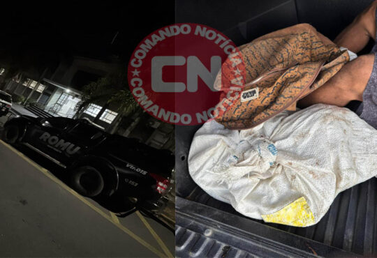 Romu elias fausto furto fios