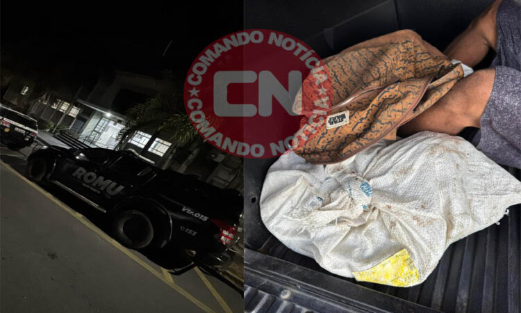 Romu elias fausto furto fios