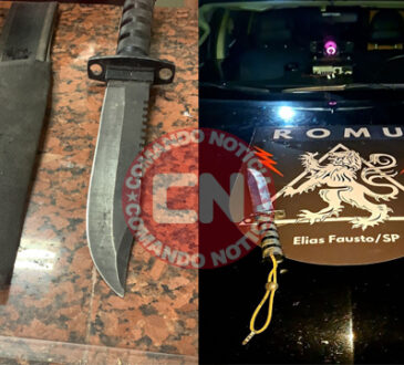 Violencia domenstia moura elias fausto