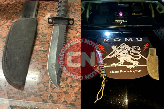 Violencia domenstia moura elias fausto