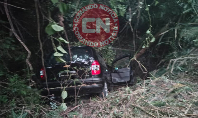 Zafira cai em ribanceira