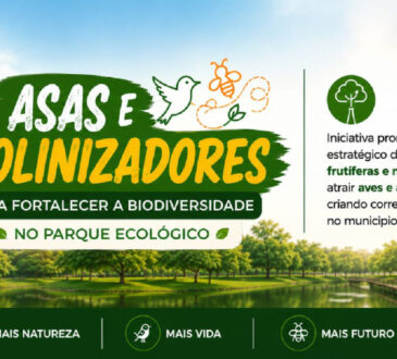 520 projeto asas e polinizadores arte