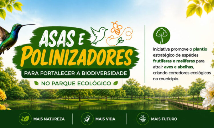 520 projeto asas e polinizadores arte