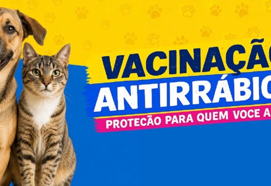 Arte vacinacao antirrabica nova