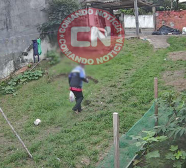 Furto carne e cervejas no pq indaia