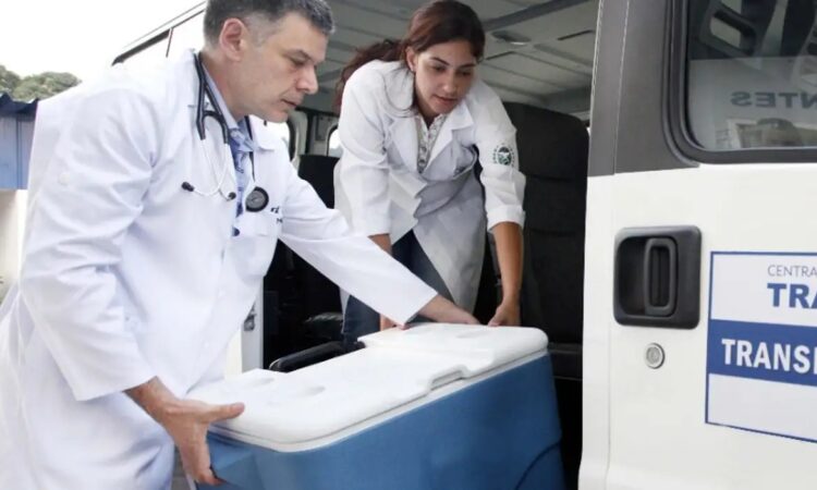 Transplante governo do rj