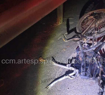 Acidente mata cÃo e ciclista km 61 sp 75