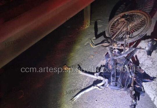 Acidente mata cÃo e ciclista km 61 sp 75