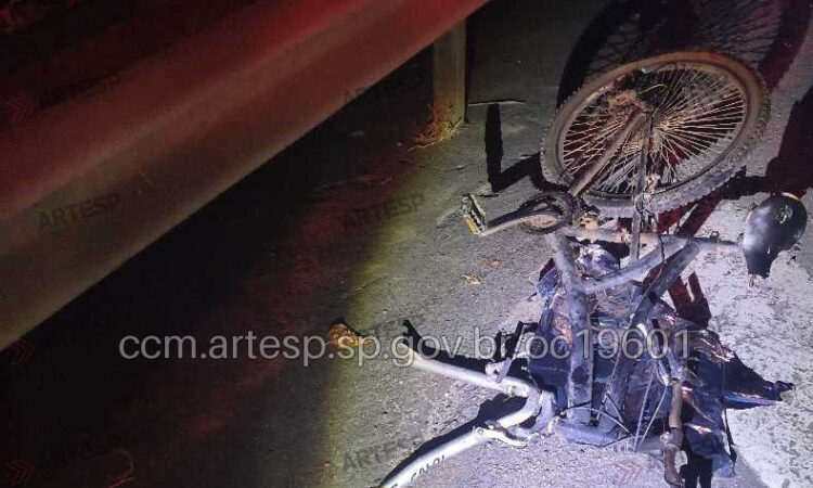 Acidente mata cÃo e ciclista km 61 sp 75