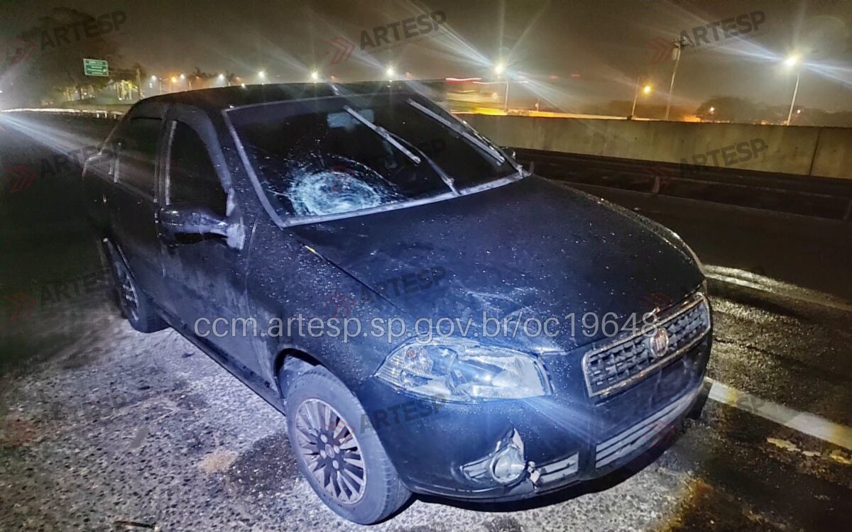 Atropelamento fatal sp 101 hortolandia
