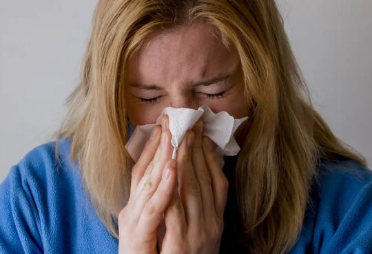 Alergia pixabay