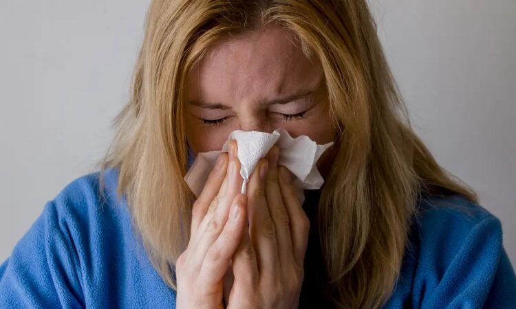 Alergia pixabay