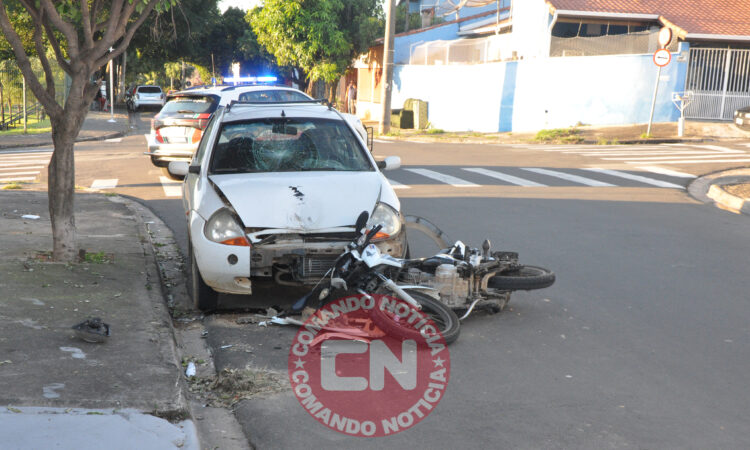 PerseguiÇÃo romi martinho lutero 1