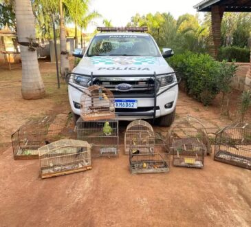Policia ambiental hortolandia