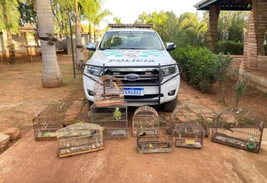 Policia ambiental hortolandia