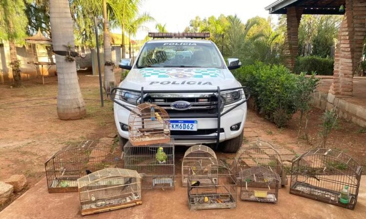 Policia ambiental hortolandia