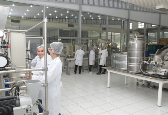 Ultraprocessados