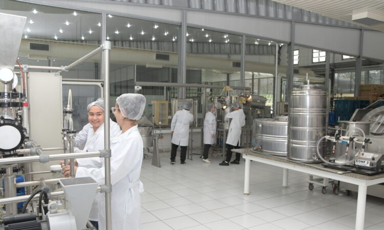Ultraprocessados
