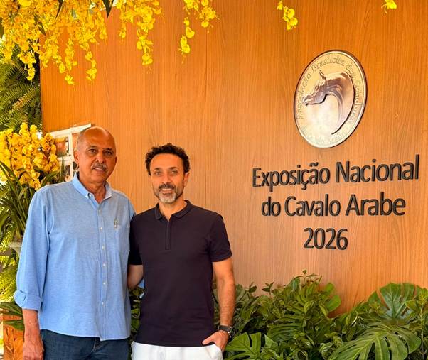 Exposição cavalos arabe em indaiatuba