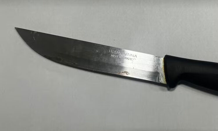 Faca tentativa feminicidio limeira cópia