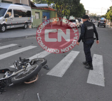 Moto colide viatura canil