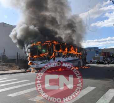 Ônibus pega fogo