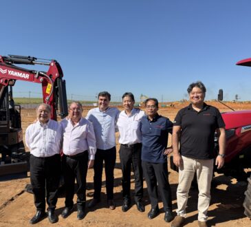 Yamar investimento georgia couto
