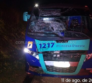 Andarilho morre atropelado
