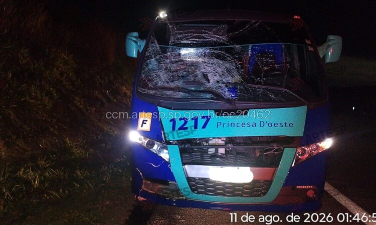 Andarilho morre atropelado