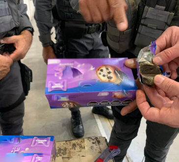 Caixa bombom com chocolates cópia