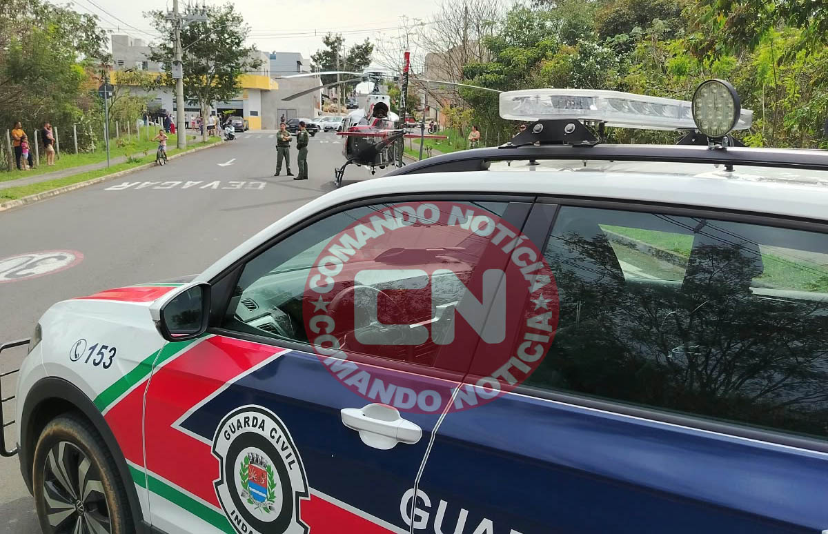 Gcm e aguia