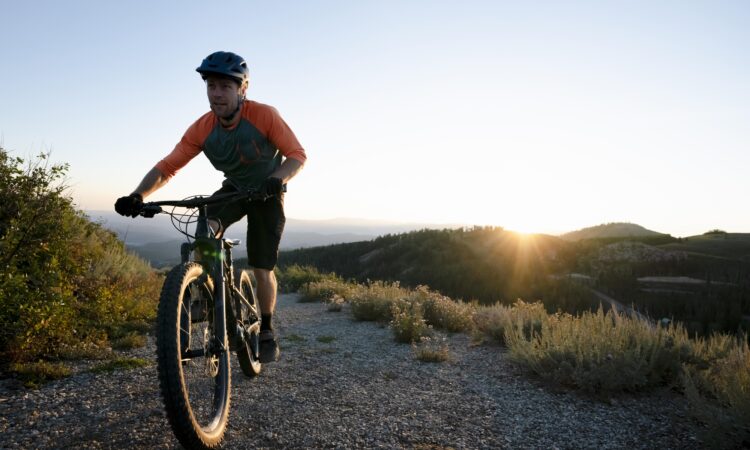 Mtb free pik