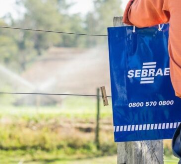 Sebrae ali rural
