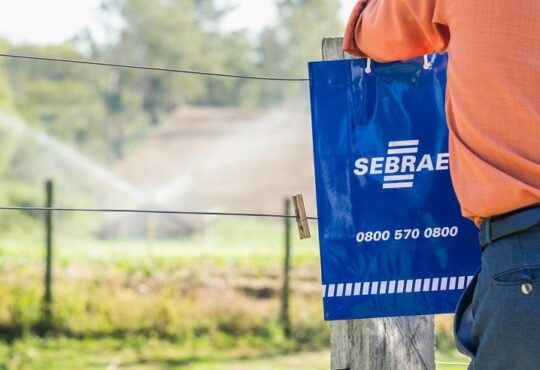 Sebrae ali rural