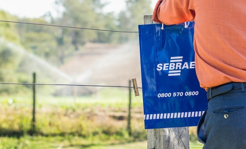 Sebrae ali rural
