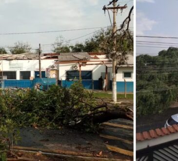 Temporal campinas