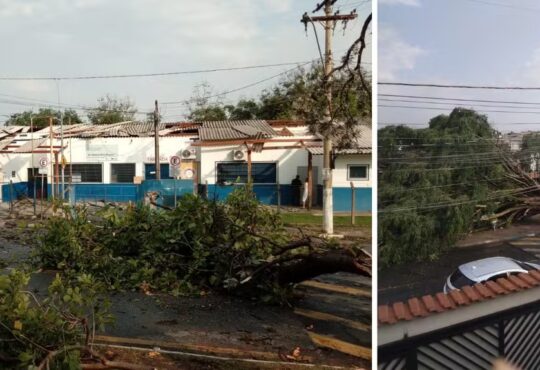 Temporal campinas